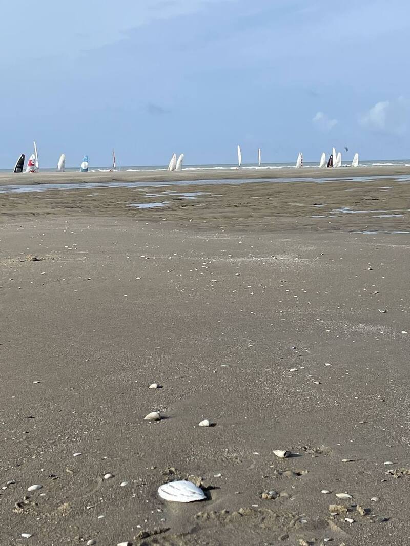 Séminaire d'équipe sur la plage de Merlimont